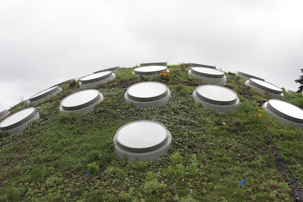 Living Roof - California Academy of Sciences