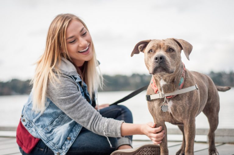Rover.com: Pet Sitters for Road Trippers