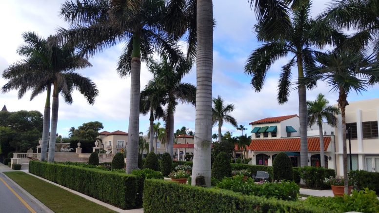 20 Exciting Day Trips from West Palm Beach, Blog