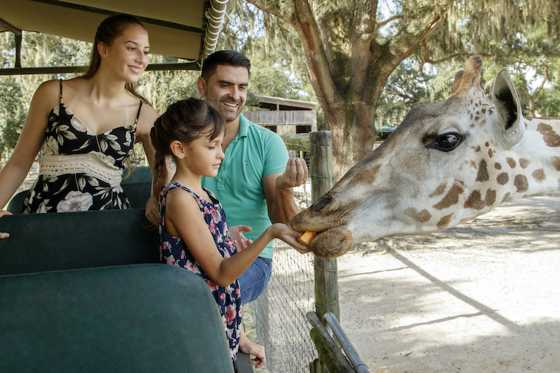 5 Family Adventures You Must Try on Florida’s Sports Coast