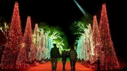 Redding Garden of Lights