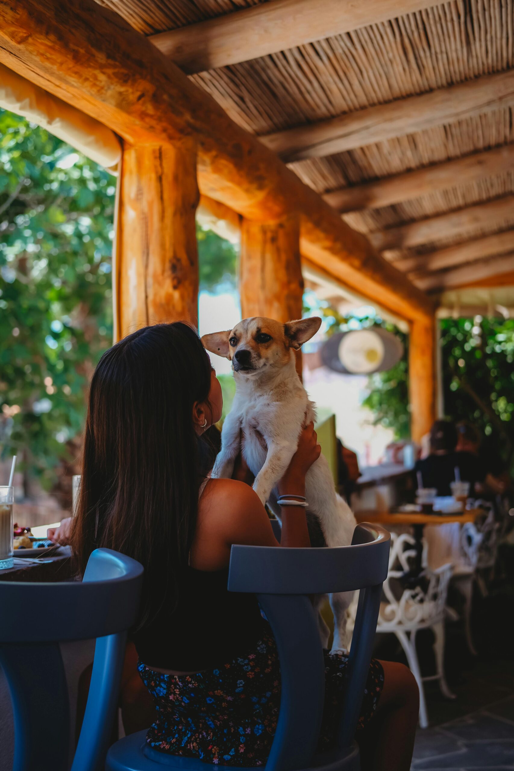 DogFriendly Restaurants in Littleton, Colorado